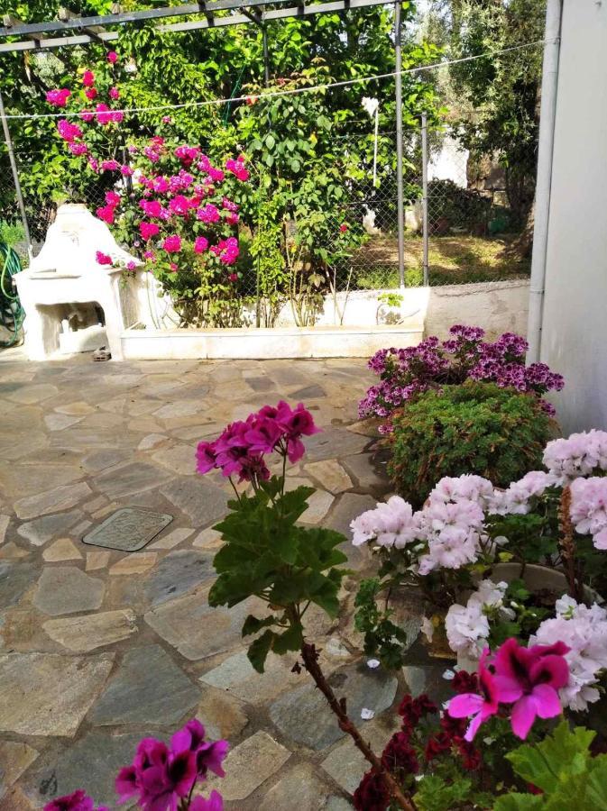 Asteria House Villa Kala Nera Luaran gambar